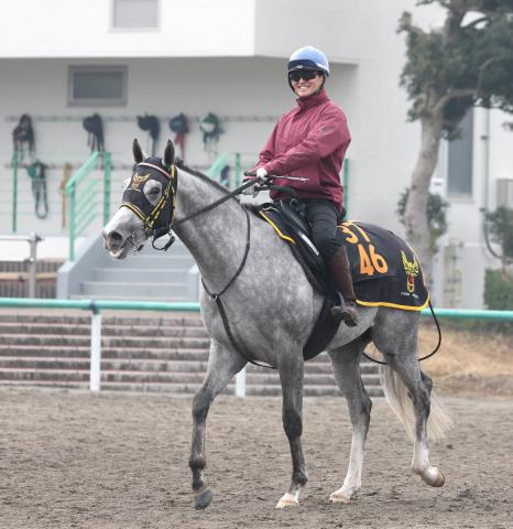 【注目馬動向】ファルコンS2着のモンドデラモーレがNHKマイルCへ　兵庫CSは見送り
