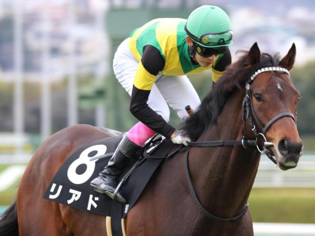 セレクト5億円のリアド ダート2戦目で2年4カ月ぶりVなるか