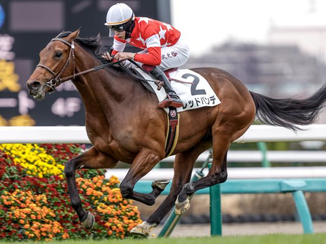 【青葉賞予想】前走重賞組よりも1勝クラス組が優勢！ 未勝利戦から参戦する馬は前走での内容に要注意