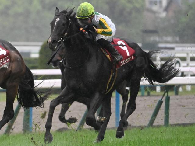 【マイラーズC予想】前走1600mでの大敗は致命的!? 昨年の3着馬が当てはまった消去法データとは