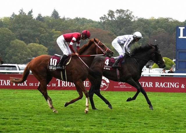 今年から凱旋門賞出走の日本馬に輸送費補助　初年度は最大2頭「一番強い馬に来てほしい」