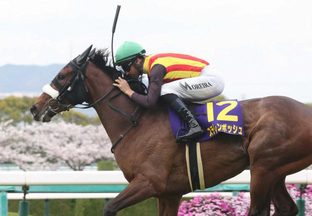 桜花賞馬ステレンボッシュが5・25香港チャンピオンズ&チャターC登録　昨年香港ヴァーズは3着