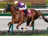  【天皇賞(春)】レイデオロ産駒のGI初制覇へ 阪神大賞典覇者のサンライズアースが参戦
