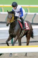  վޡۥɥꥢϽפαӤ9塡ʵϡ֤줫ɤʤäƤϡ