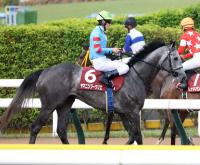  վޡۥޥ˥֡ꥨƻϤ̤ߤ8塡¼ϤϤ˴ԤǤ͡