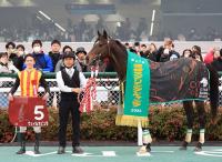  今年3月の阪神スプリングジャンプを制したヴェイルネビュラが引退