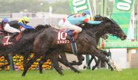  【青葉賞】エネルジコ　無傷3連勝でダービー切符!ルメールは史上最少騎乗回数でJRA2000勝達成