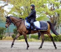  【読売マイラーズC】ロングランが重賞連勝　初のマイル戦も充実の7歳馬が難なく克服