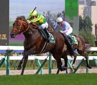  【チェアマンズSP】2着サトノレーヴのモレイラ「素晴らしい走りでした」カーインライジング12連勝