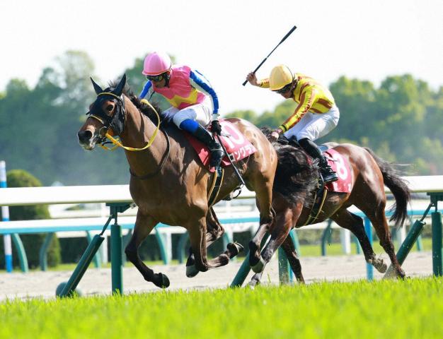 【マイラーズC】初マイルでいきなり!ロングラン重賞連勝　岩田康「7歳だけど今が絶頂期」