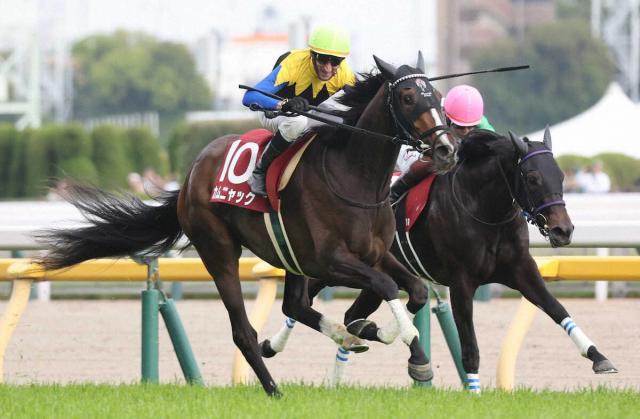 【フローラS】カムニャック“復活”Vで鮮やか樫切符!　鞍上シュタルケは8年ぶり重賞V