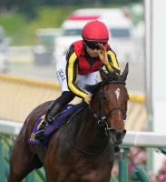  リバティアイランド主戦の川田将雅　自身のインスタグラムにパートナーへの思いつづる