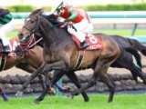  【天皇賞(春)】丹内祐次騎手がGI初制覇へ 日経賞覇者のマイネルエンペラーで挑む