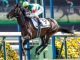  【天皇賞(春)予想オッズ】ヘデントールが予想1番人気