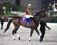  【羽田盃】2番人気のジャナドリアは直線で伸びを欠いて3着　ルメール騎手「思ったほど加速しなかった」