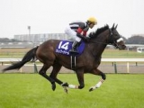  カレンブーケドールが唯一の馬券圏内 グレード制導入後の天皇賞(春)に挑んだ牝馬たち