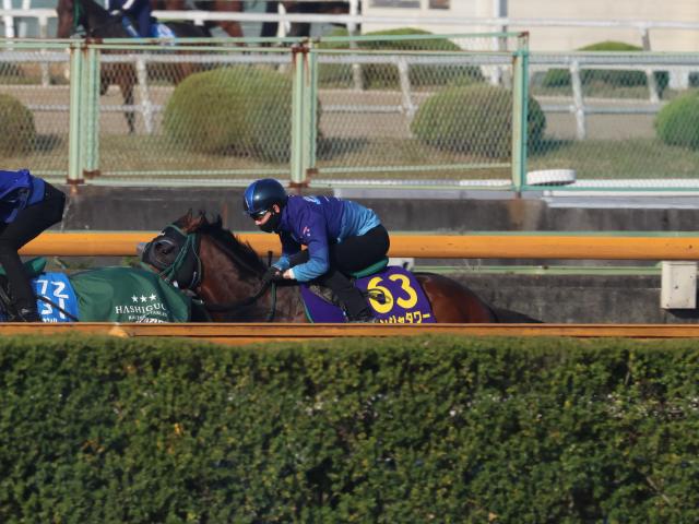 パンジャタワーなど、NHKマイルC1週前追い切り速報/栗東トレセンニュース