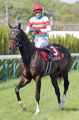 【古馬・注目馬動向】安田記念に向かうジュンブロッサムの鞍上は引き続き武豊騎手
