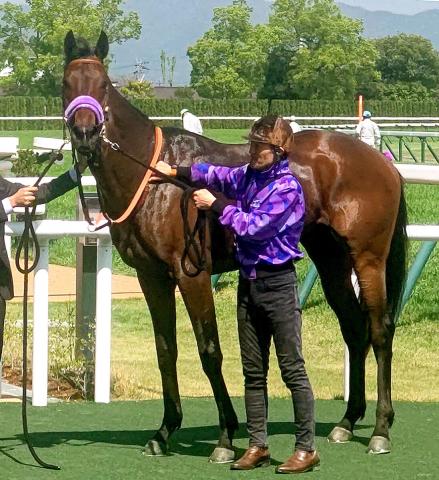 【3歳・注目馬動向】あやめ賞を勝ったキングメーカーは白百合Sへ