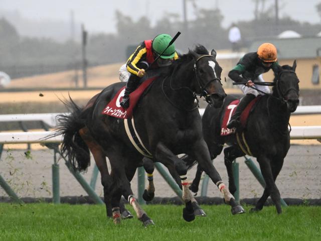【有力馬動向】クイーンズウォーク軽快/馬三郎のつぶやき
