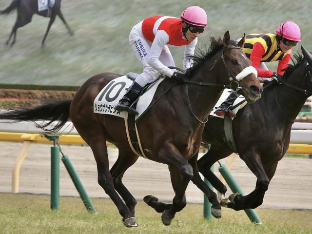 【府中S】セレクト2.2億円のショウナンラピダス 3連勝でオープン入りなるか