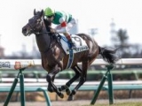  【天皇賞(春)・調教後馬体重】ヘデントールは490kg、サンライズアースは540kg