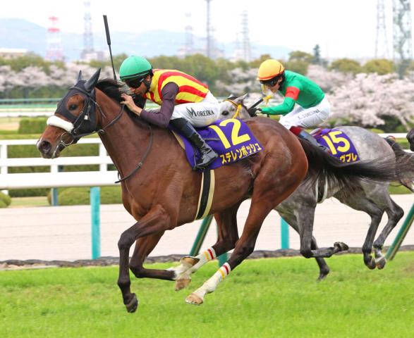 ステレンボッシュは香港G1からヴィクトリアマイルへ予定変更　1600メートルでG1・2勝目に挑む