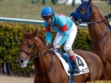  【ユニコーンS枠順確定】クレーキングは6枠8番、メイショウズイウンは4枠5番