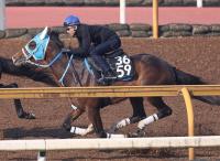  【ユニコーンS】武豊騎手騎乗のメイショウズイウンは4枠5番　前走圧勝のクレーキングは6枠8番　枠順決定