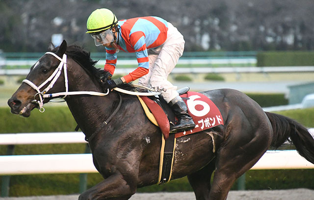 中1週でGI挑戦→中2週で重賞初制覇 ディープボンドのタフなローテから5年