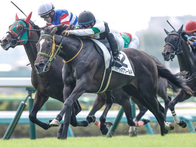 【週末情報】左回りが合うパートオブワールド 前々で運んで大波乱起こす！/馬三郎のつぶやき