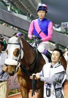  【注目馬動向】メイショウタバルは引き続き武豊騎手で宝塚記念へ　前走ドバイ・ターフは初コンビで5着