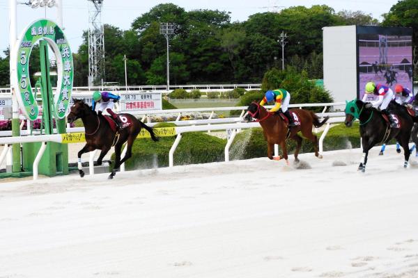 【地方競馬】イグナイターが兵庫大賞典制覇も陣営は意気消沈…好調時の勢い見られず