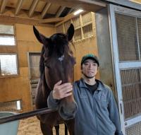  シャマル疲労感なし　かしわ記念連覇から一夜、岡本助手「ケロッとしています」　短期放牧を挟んで、さきたま杯目指す