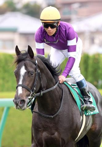 【注目馬動向】シンザン記念勝ち馬のリラエンブレムは日本ダービーへ　鞍上は引き続き浜中俊騎手