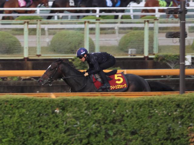 クイーンズウォークなど、ヴィクトリアM1週前追い切り速報/栗東トレセンニュース