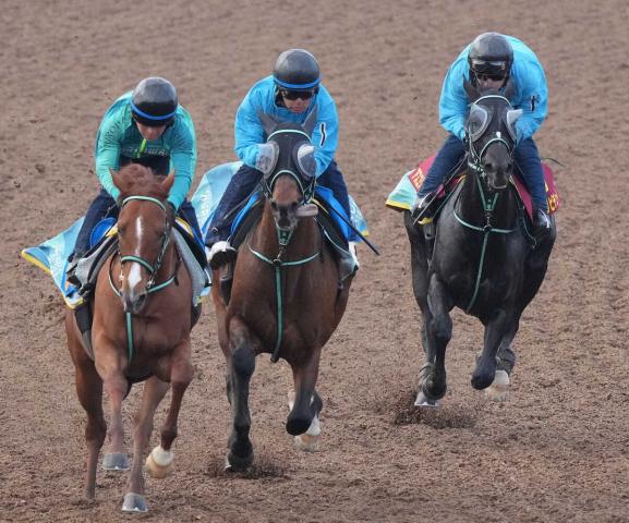 【ヴィクトリアM・1週前追い】アスコリピチェーノ　切れ味絶品ラスト1F11秒0　黒岩師「順調」