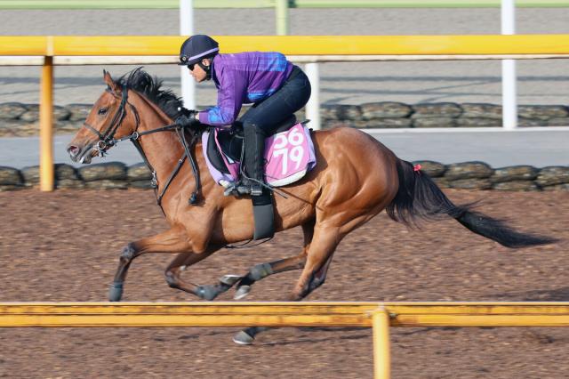 【オークス2週前】忘れな草賞を制したサヴォンリンナがCWコースを軽快　田中克調教師「在厩調整で順調」