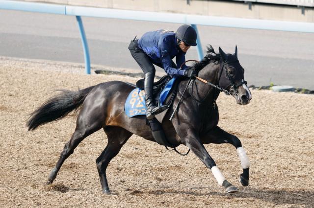 【新潟大賞典1週前】エピファニーがWコースで活気あふれる動き　宮田調教師「状態はすごくいい」