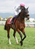  【京都新聞杯】武豊　デビュー39年連続JRA重賞勝利お預け　トッピボーン4着「向正面でハミを…」
