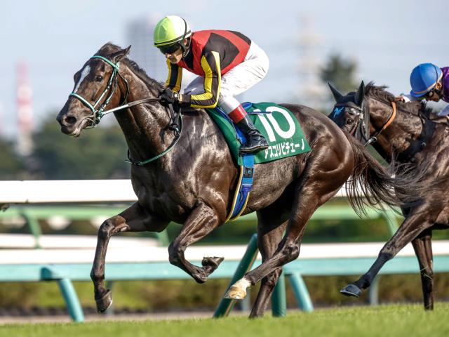 ジャパンカップ2024】出走予定馬・レース概要・日程・歴代優勝馬