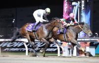  【地方競馬】エンプレス杯　テンカジョウが接戦を制して大金星の重賞３勝目！ＮＨＫマイルＣに続き松山が武豊を退けた