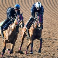  【オークス1週前】牝馬2冠へピッチを上げるエンブロイダリー　森一調教師「息づかいもいい」