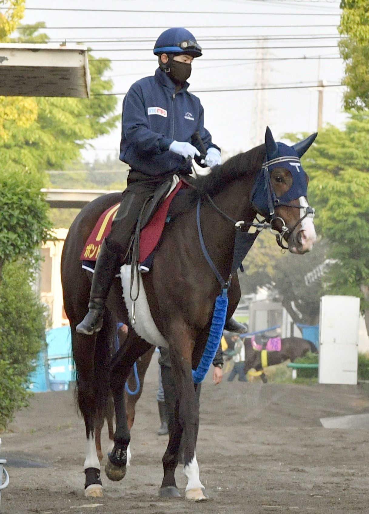 【ヴィクトリアＭ】ボンドガールＧ１獲りで「現役最強の１勝馬」の称号返上だ　５枠１０番に手塚久師「偶数で良かった」