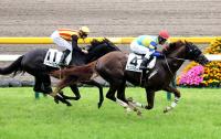  ヴィクトリアマイル当日の東京競馬場の馬場状態　雨の17日から変化し内と外はフラットに近い状態