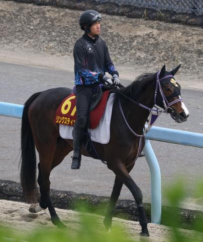 【オークス】リンクスティップ　精神的余裕あり　ミルコが成長ぶり評価
