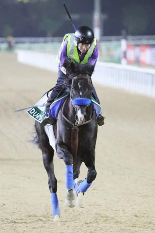 【注目馬動向】ドバイ・シーマC3着のドゥレッツァは宝塚記念へ