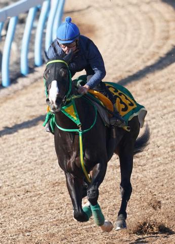 【平安S】ブライアンセンス　躍動感あふれる動き　斎藤誠師「早く競馬に向かいたいくらい」