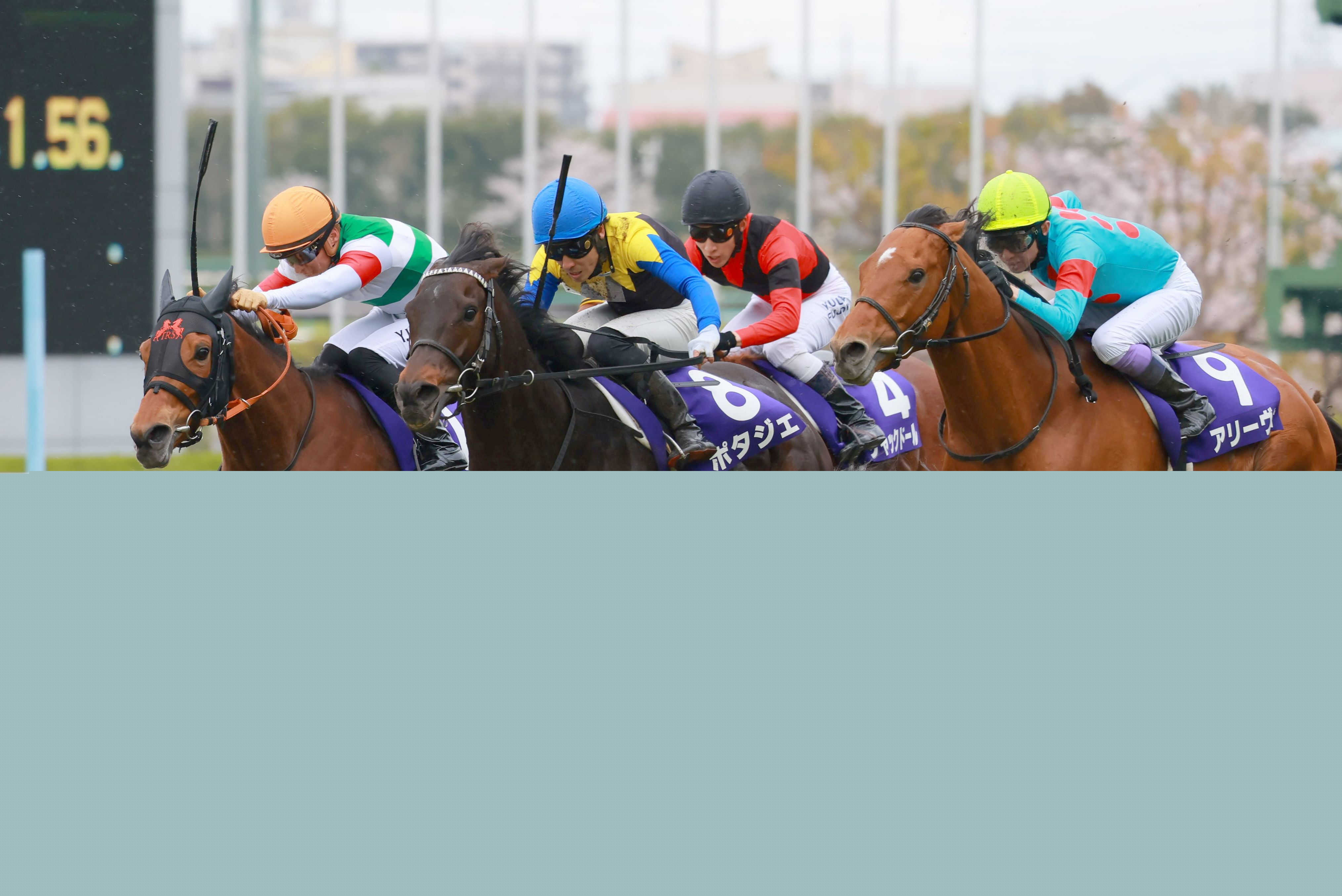 ２２年大阪杯Ｖのポタジェが登録抹消　種牡馬となる予定　友道師「最後まで無事に走ってくれました」