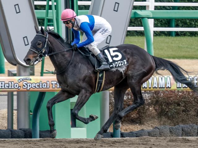 【平安S出走馬・騎手確定】ロードクロンヌ＆藤岡佑介騎手、ジンセイ＆川田将雅騎手など16頭